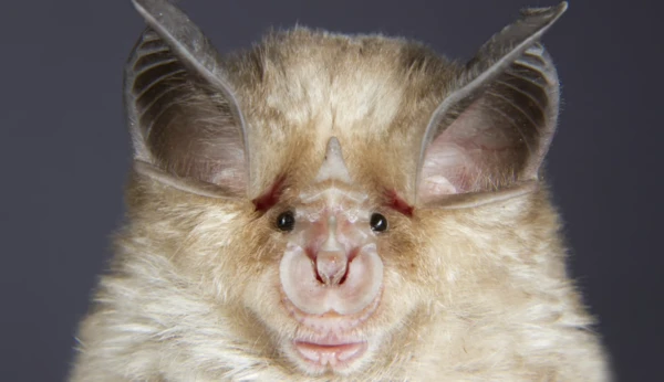 2024122621178456.png 16.png