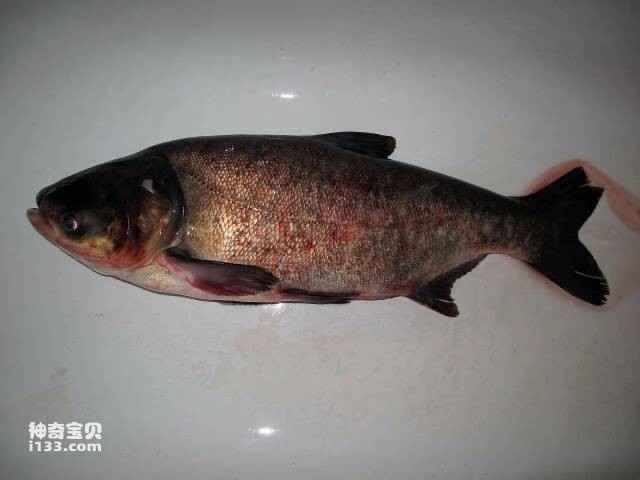 2023051617161908.jpg 3.jpg