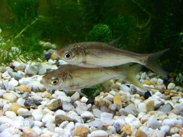 2023051686143212.jpg 5.jpg