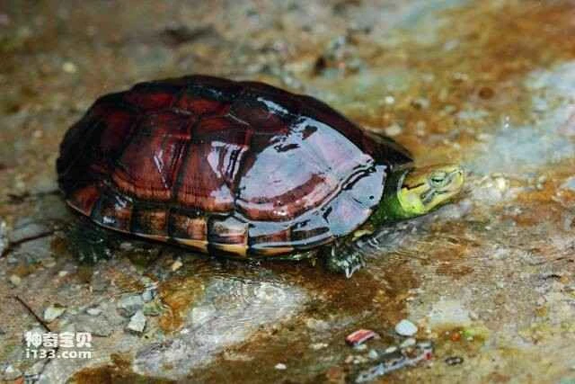 2023051172511331.jpg 8.jpg