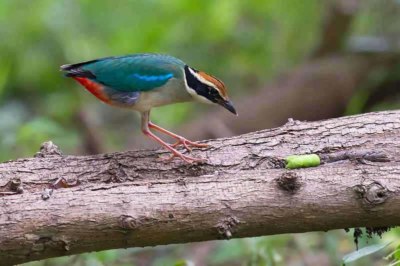 2025031019327916.jpg 8.jpg