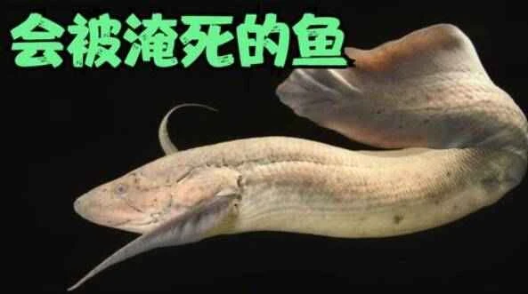 1668415898123512.jpg 3_九雷图片转换器.jpg