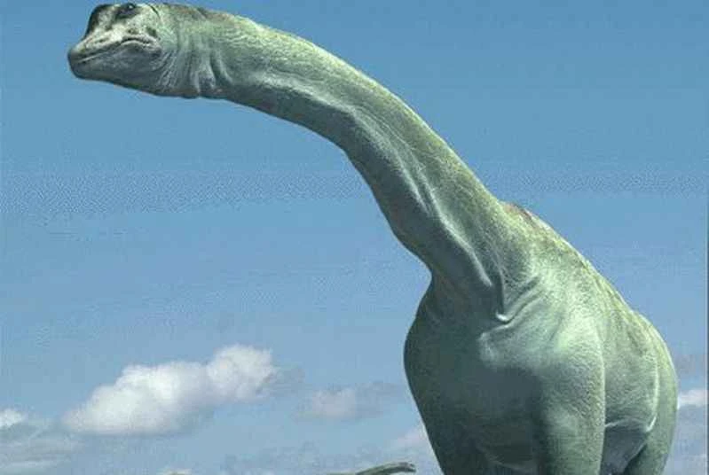 1670220690225166.jpg 3.jpg