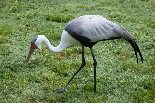 2025123140654481.webp 10.webp