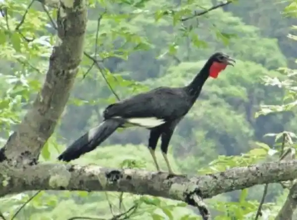 2025091816542849.webp 20.webp