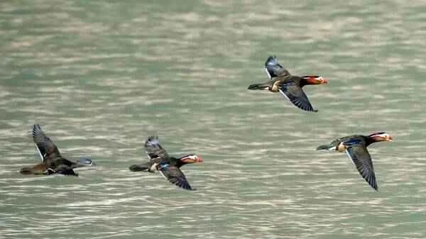 2023011628857578.jpg 2_九雷图片转换器.jpg