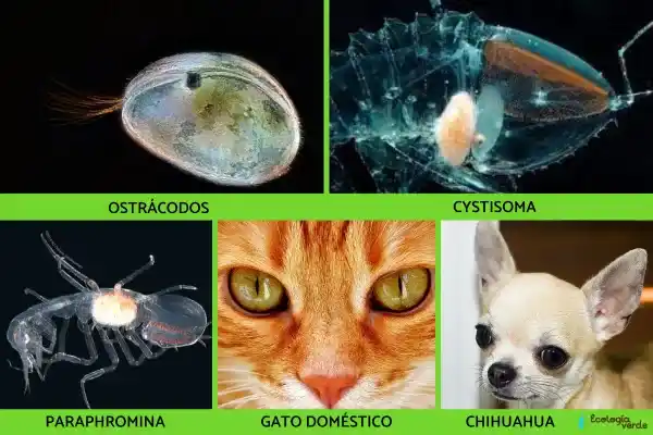 2025082819626918.webp 14.webp