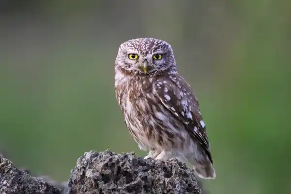 2025083078472142.webp 8.webp