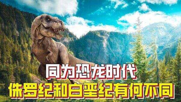 Differences between Cretaceous and Jurassic dinosaurs