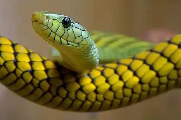 2025082578273742.webp 5.webp