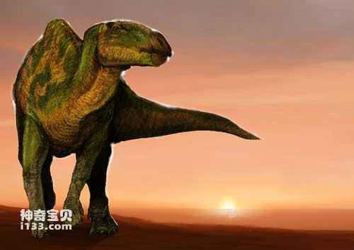 Fossil sites and physical characteristics of Lanzhou dragon