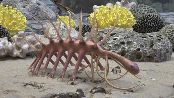 2024110482061340.jpg 1.jpg