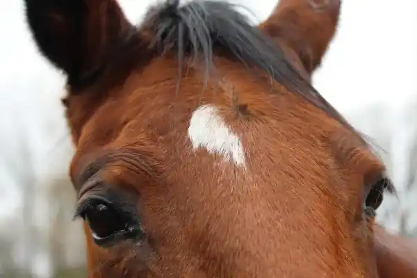 2025082895189963.webp 12.webp