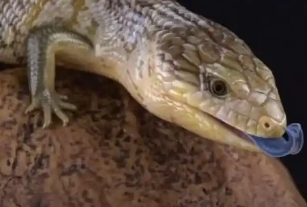 2025073013650345.webp 7.webp