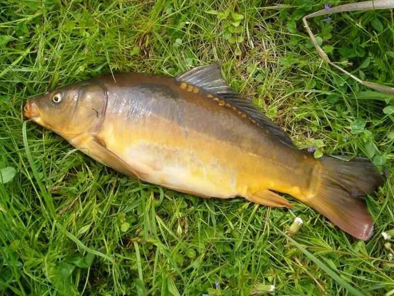 2024091896893082.jpg 10.jpg