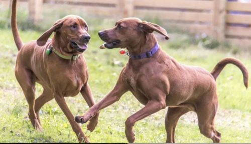 2024100811506465.png 8.png