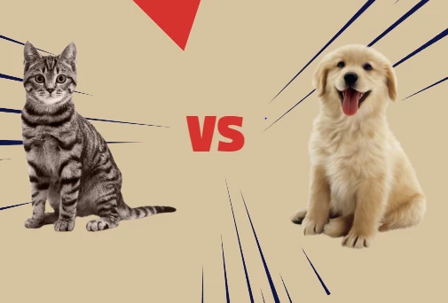 Which breed of disease, cats or dogs? A comprehensive comparison.