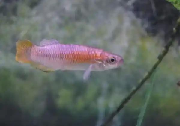 2025073115814074.webp 8.webp