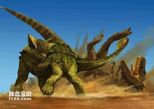 Fossil sites and physical characteristics of ankylosaurs