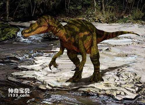 Fossil sites and physical characteristics of Baryonyx