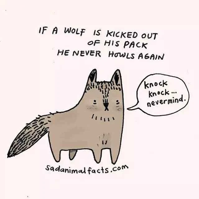 2023011913323060.jpg 12.jpg