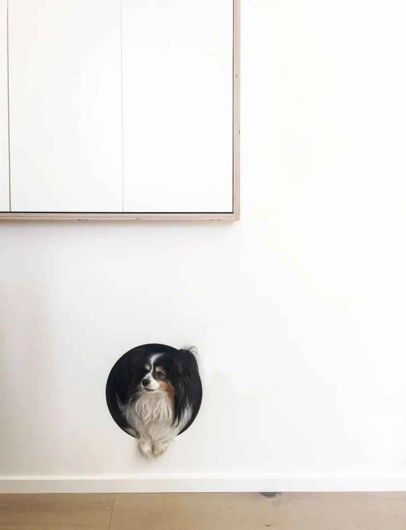 2023011715438295.jpg 1.jpg