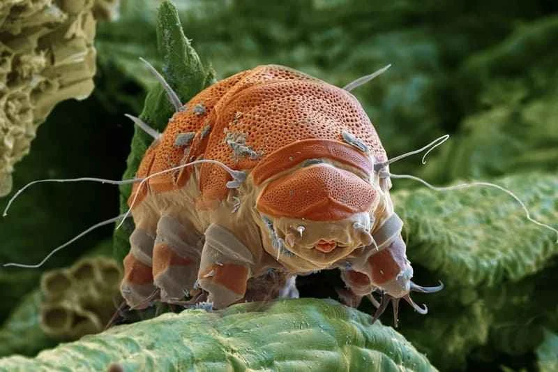 2025042534132009.jpg 6.jpg