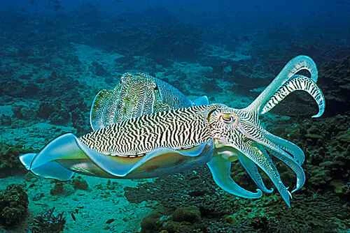 2024092113901358.jpeg 2db61b2d0ecb6ce8fe19b064c1c92ae9.jpeg