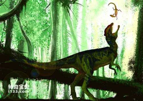 Fossil sites and physical characteristics of Dilophosaurus