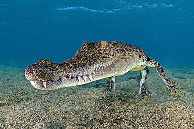 2024092519505769.jpeg 2.jpeg