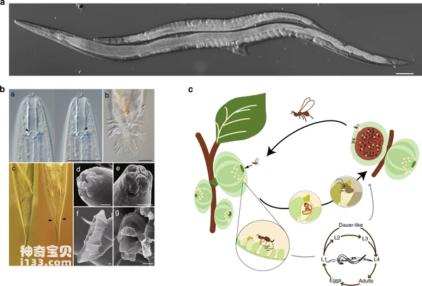 2024042511818874.png 8.png