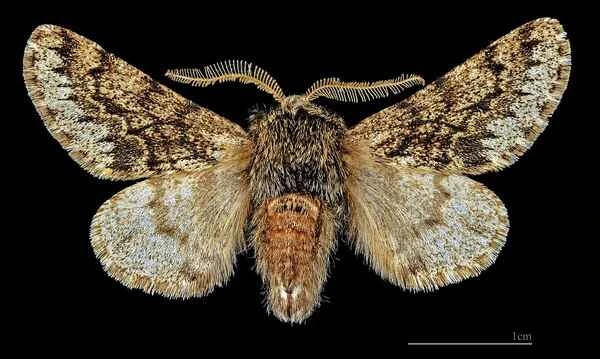 2024042692132617.jpeg 6.jpeg