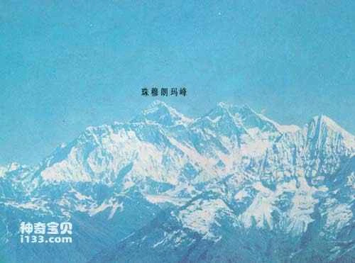 A rich and diverse biological world