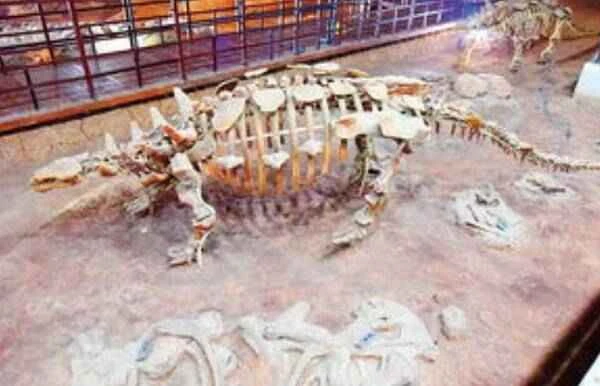 Zhongyuan Dragon 中原龙