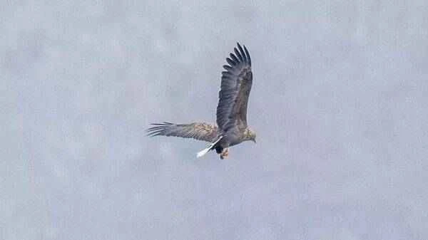 2023011621257829.jpg 3_九雷图片转换器.jpg