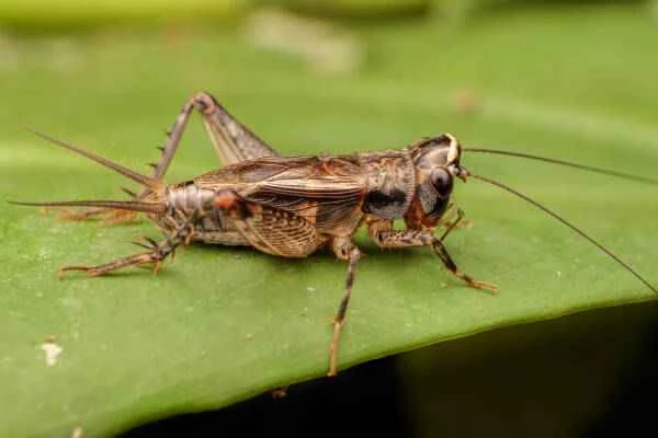 2023103016033212.jpeg 7(1).jpeg