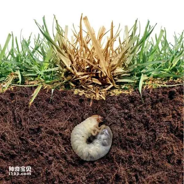 2024042527839069.jpg 10.jpg