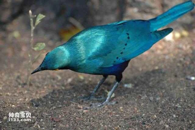 2023060446609708.jpg 44.jpg