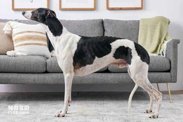 2023060114834785.jpg 19.jpg