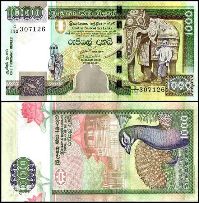 2023060519548803.jpg 10.jpg