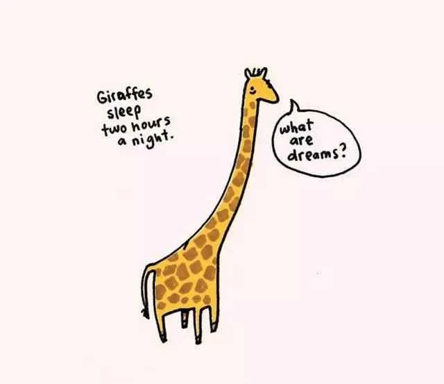 How many of these sad facts about animals do you know?