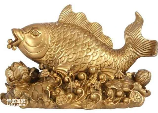 2023060749337191.jpg 9.jpg