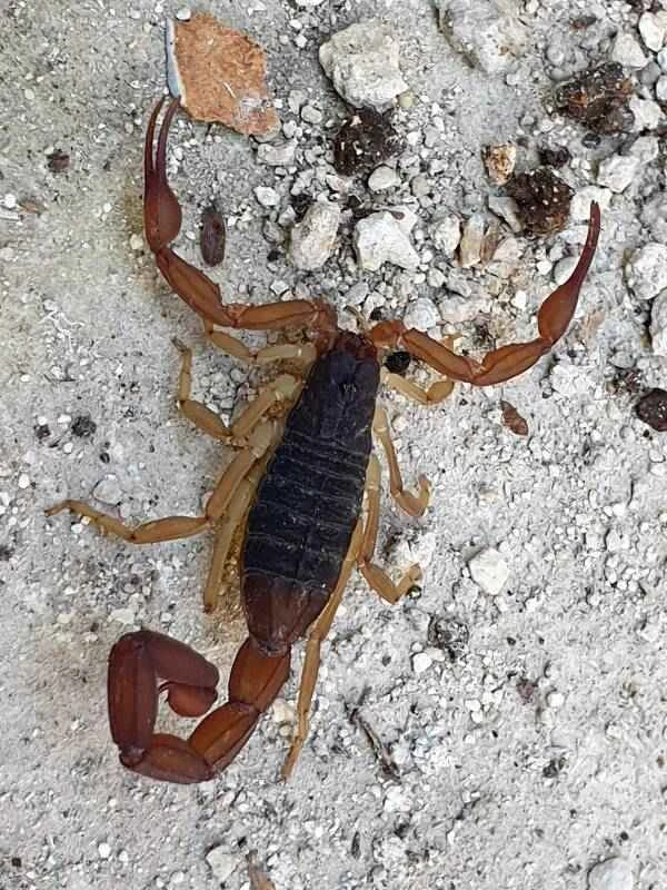 2023110617289260.jpeg 8(1).jpeg