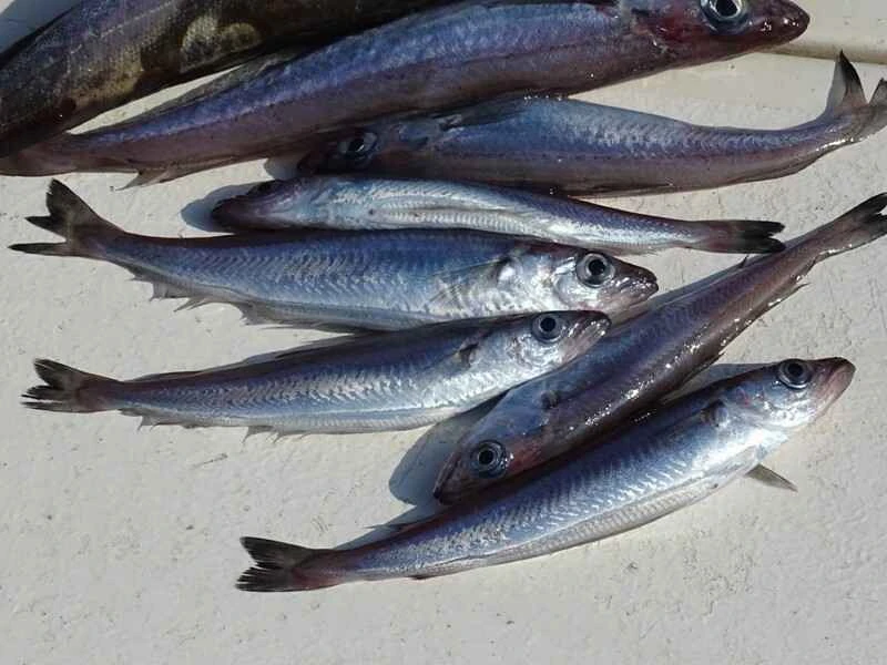 2025022716194508.jpg 88.jpg