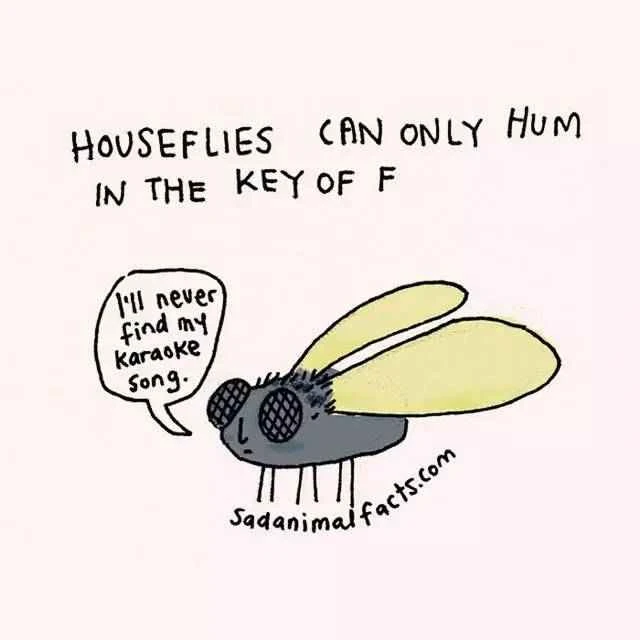 2023011977587188.jpg 11.jpg