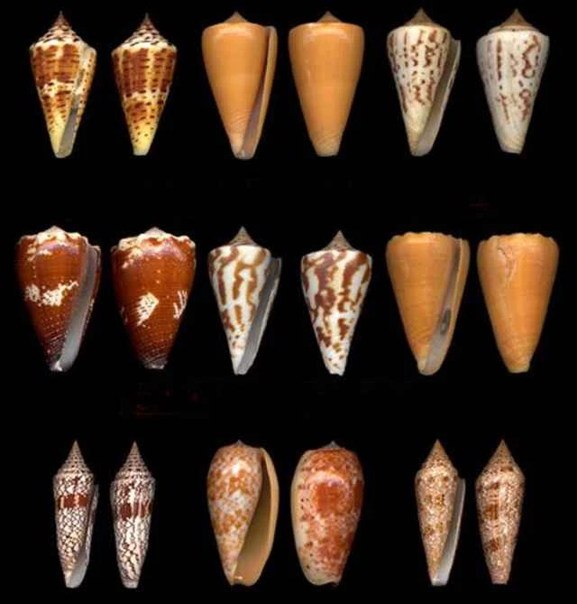 2024092522808726.jpeg 8.jpeg