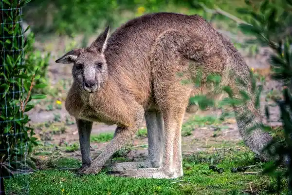 2025050697357299.webp 8.webp