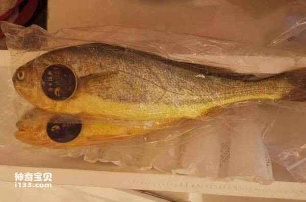 Top 10 Seafood Specialties in China