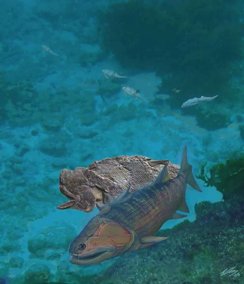 Ghost fish with vampire-like teeth