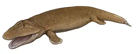 What was the first land animal on Earth?